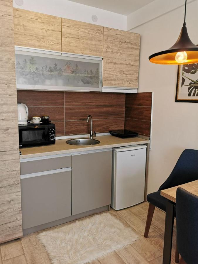 Silja Kopaonik S45 Milmari Apartment Екстериор снимка